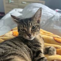 Photo of Jesse