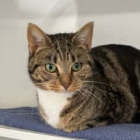 Photo of Tilly
