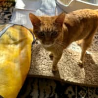 Photo of Momo
