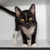 Photo of Dottie