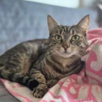 Photo of Spencer & Penny