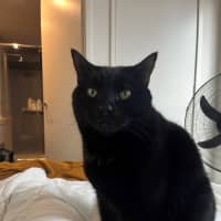 Photo of Blaze   Located In Windsor