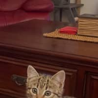 Photo of Fleur