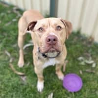 Photo of Tyson