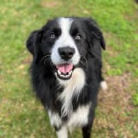 Photo of Tank