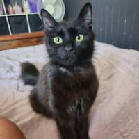 Photo of Rainbow Dash