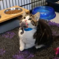 Photo of Frodo