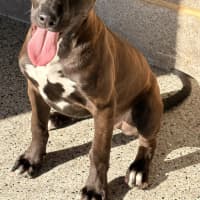 Photo of Nellie