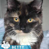 Photo of Betty