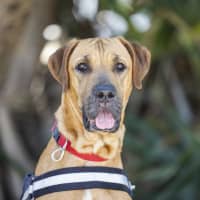 Photo of Dayna (Donya)