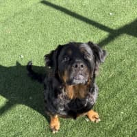Photo of Maggie May