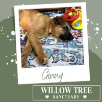 Photo of Ginny