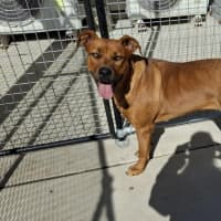 Photo of Bella 62/2026