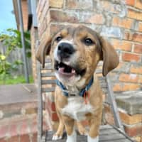 Photo of Fry