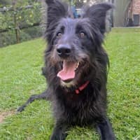 Photo of Bella Rose
