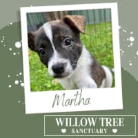 Photo of Martha
