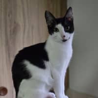Photo of Daisy