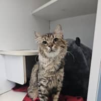 Photo of Erebus