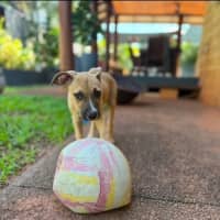 Photo of Kandy