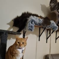 Photo of Jack And Sunny