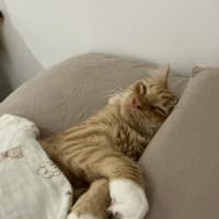 Photo of Wilbur