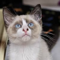 Photo of Spice
