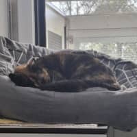 Photo of Mabel