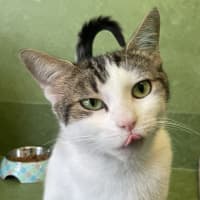 Photo of Princess Charlotte