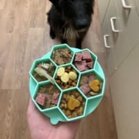 Photo of Roxy Peggotty