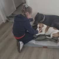 Photo of Secrets, The Greyhound 