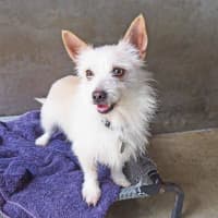 Photo of Winston