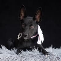 Photo of Nyx