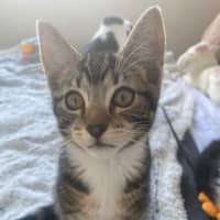 Photo of Tig Sanderson