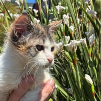 Photo of 🐾Aryna 🎾