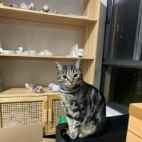 Photo of Maisie And Luna 