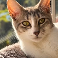 Photo of Janie