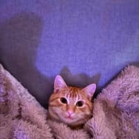 Photo of George