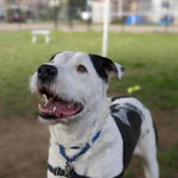 Photo of Lenny