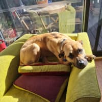 Photo of Maverick