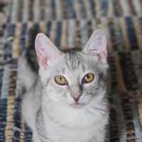 Photo of Osha & Rosemary