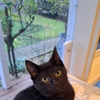 Photo of Pepper