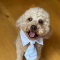 Photo of Kai 