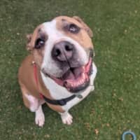 Photo of Roxy