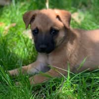 Photo of Tiny