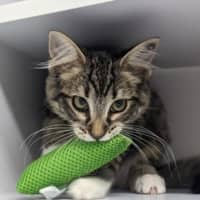 Photo of Lady Warhammer