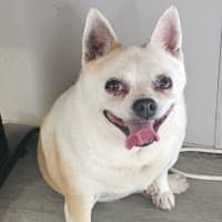Photo of Tank