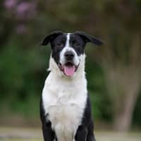 Photo of Jackson
