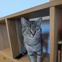 Photo of 💖Rin!!💖