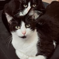 Photo of Lily & Delilah 