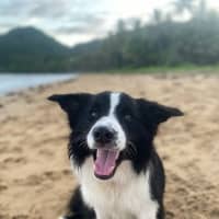 Photo of Lenny